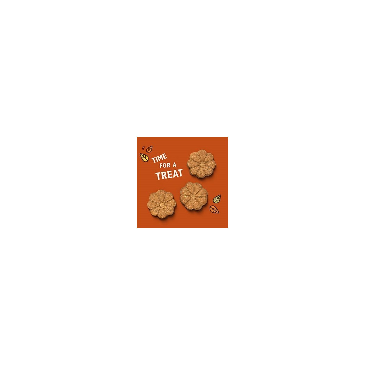 Lily's Kitchen Breaktime Biscuits Baked Dog Treats 80g