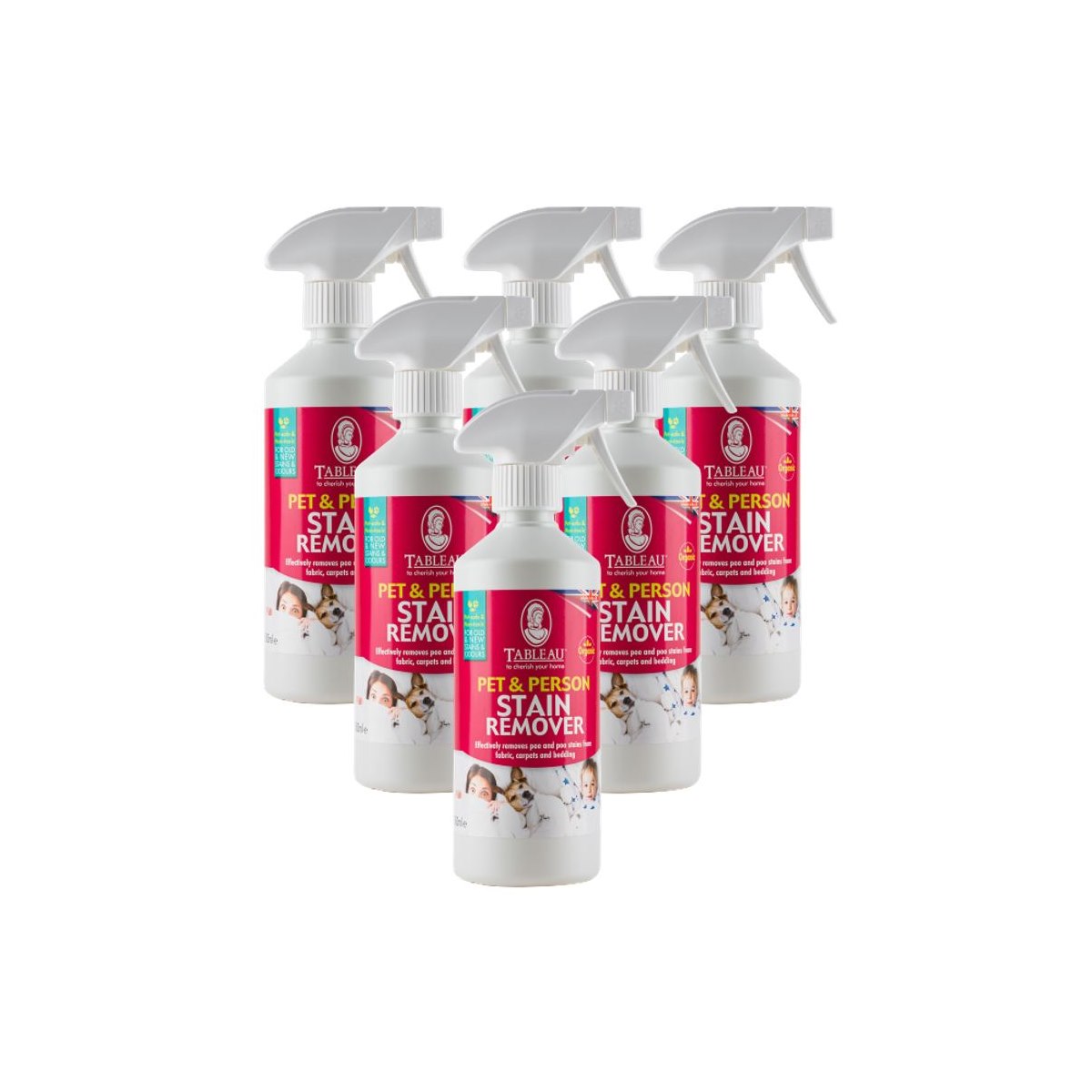 6  x Tableau Pet and Person Stain Remover