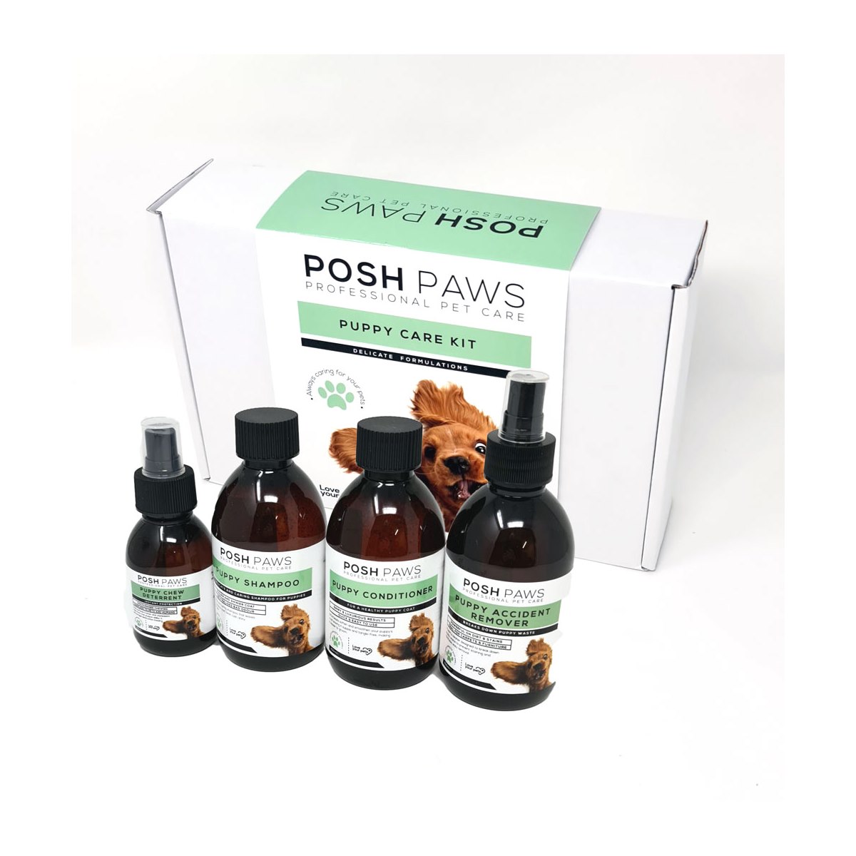British Basics Posh Paws Puppy Care Kit