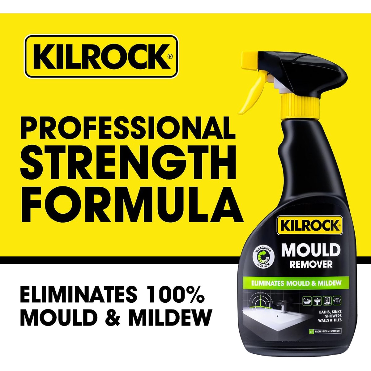 Professional Strength Mould Spray