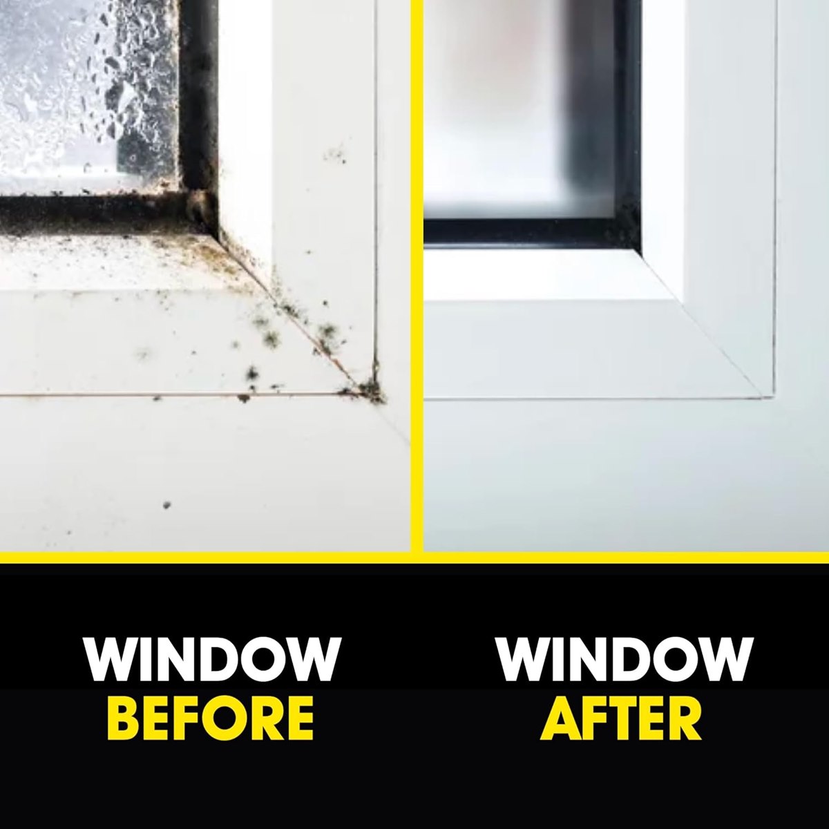 How to Remove Black Mould from Windows
