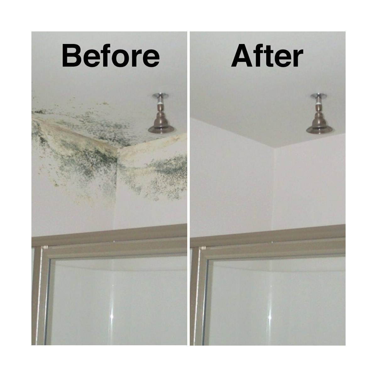 How to Remove Mould from Walls and Ceilings
