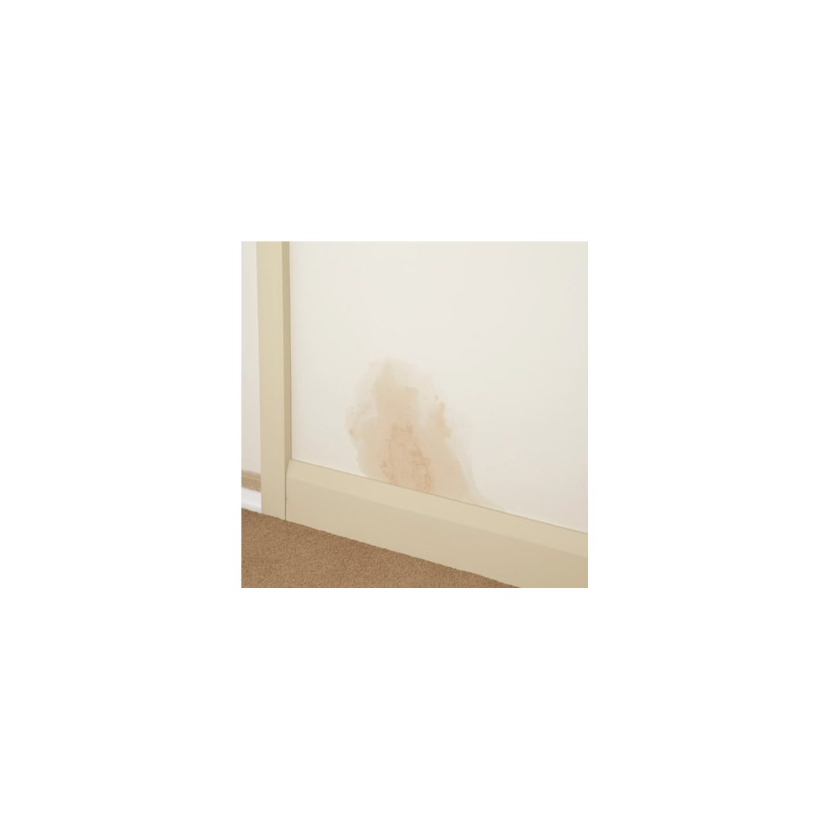 Stain Blocking Paint for Damp Patches on Wall