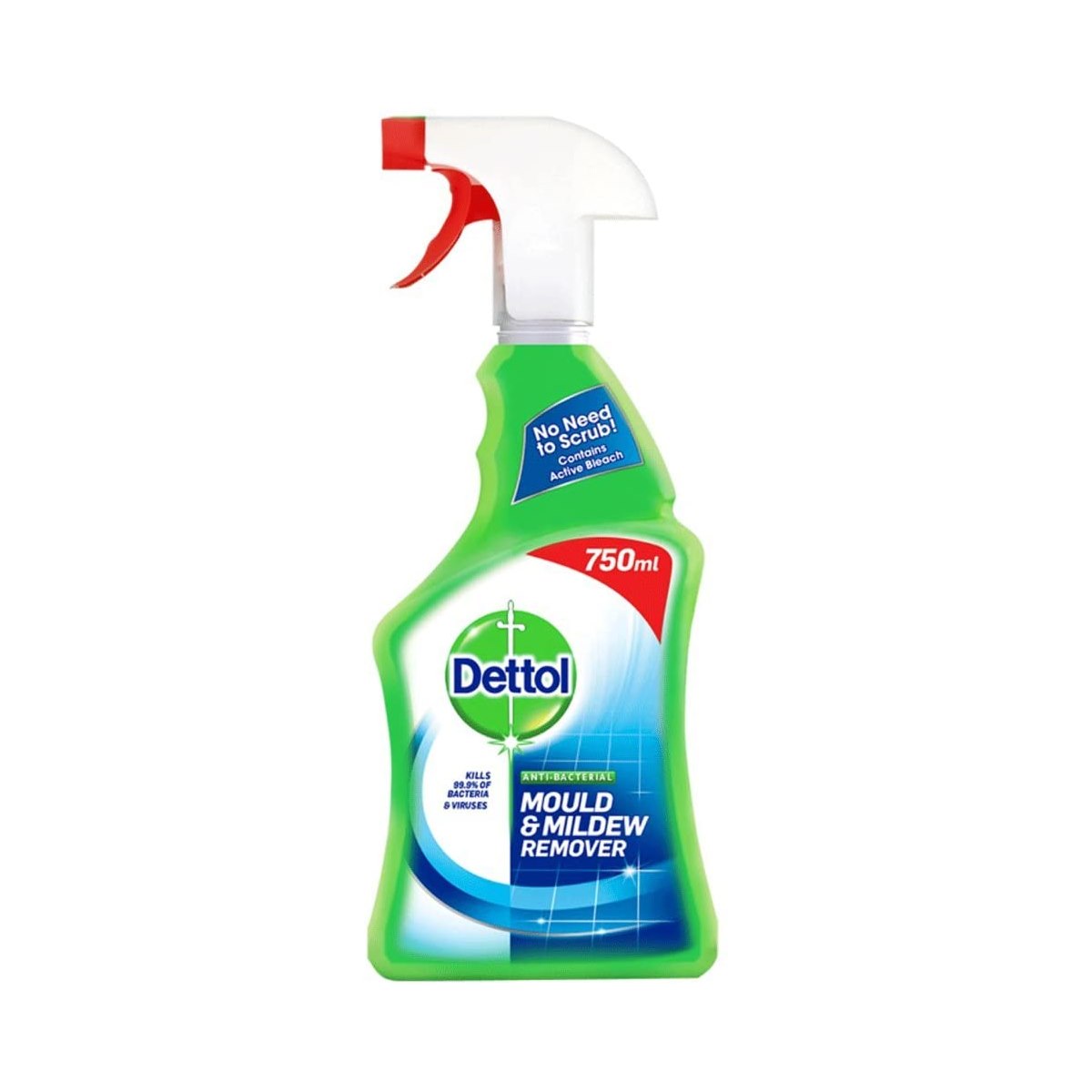Dettol Anti-Bacterial Mould and Mildew Remover Spray 750ml