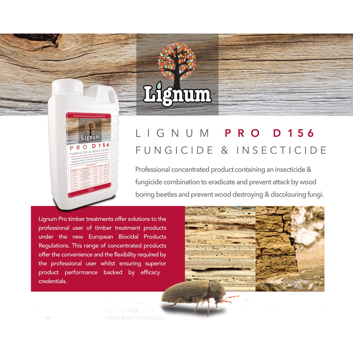 Lignum Pro D156 Professional Concentrated Fungicide 