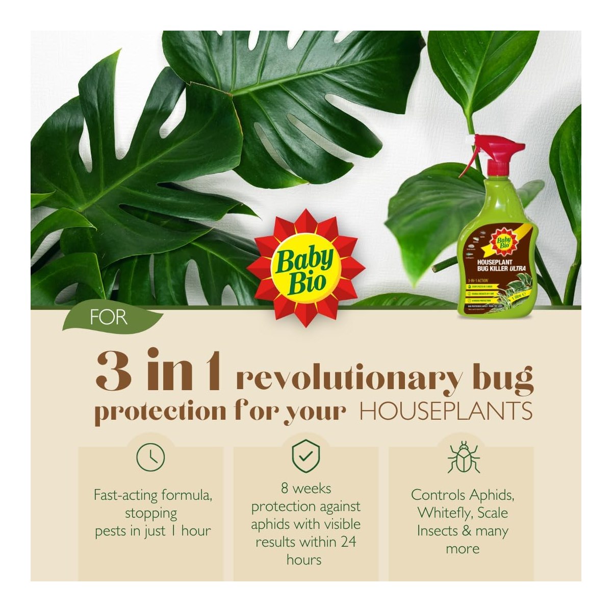 Best Pest Control for Houseplants