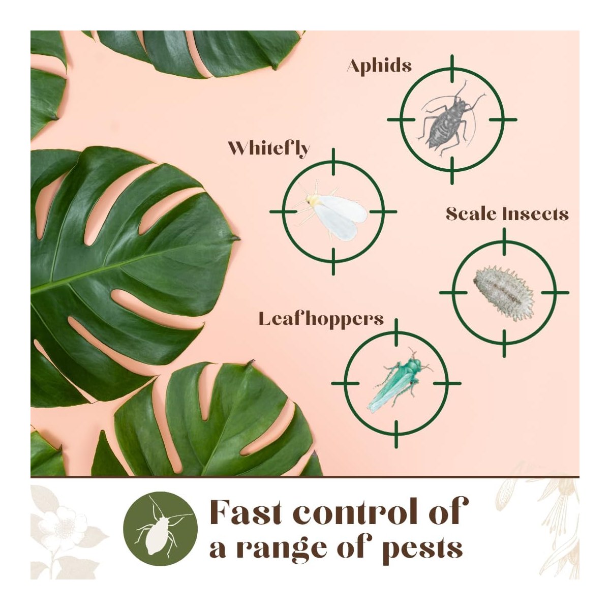 Houseplant pest control spray