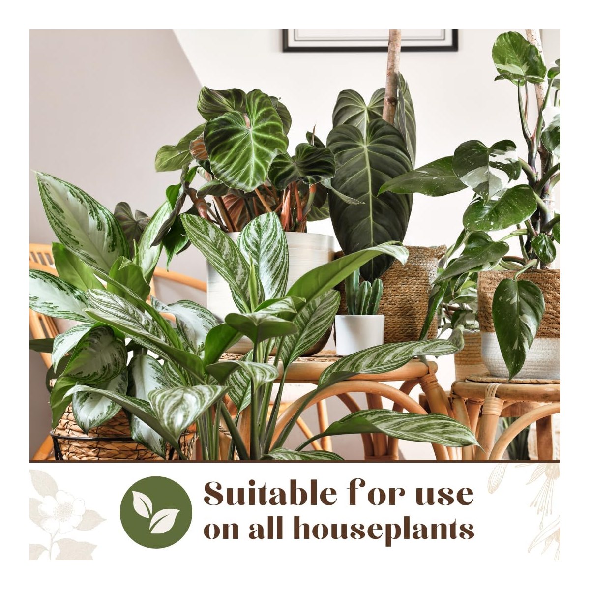 Best Spray for pests on houseplants