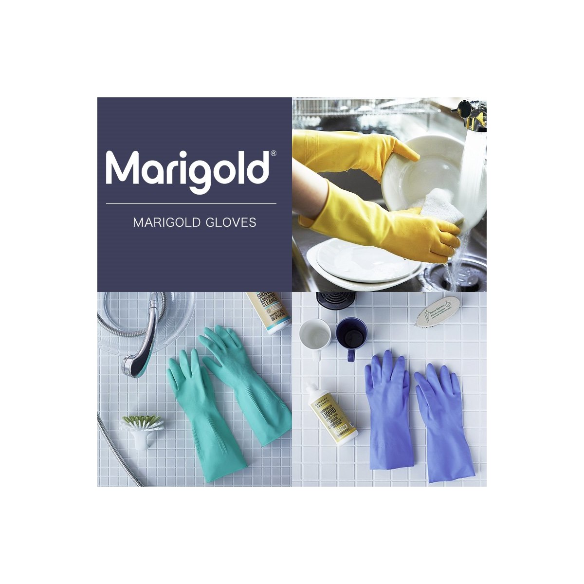 Where to Buy Marigold Gloves