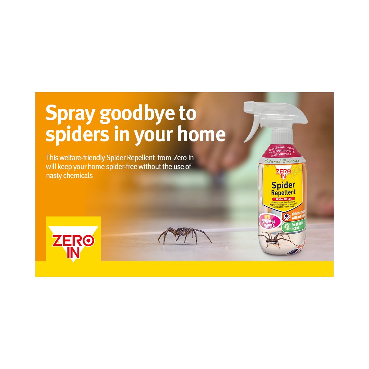 How to Stop Spiders coming into your house