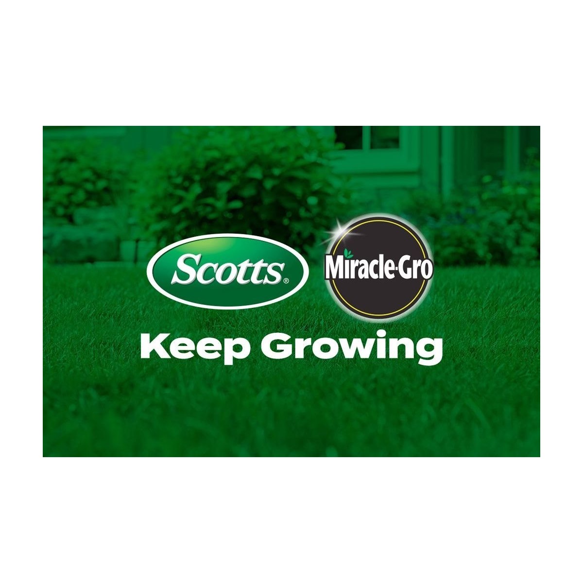Where to Buy Scotts Miracle Gro Products