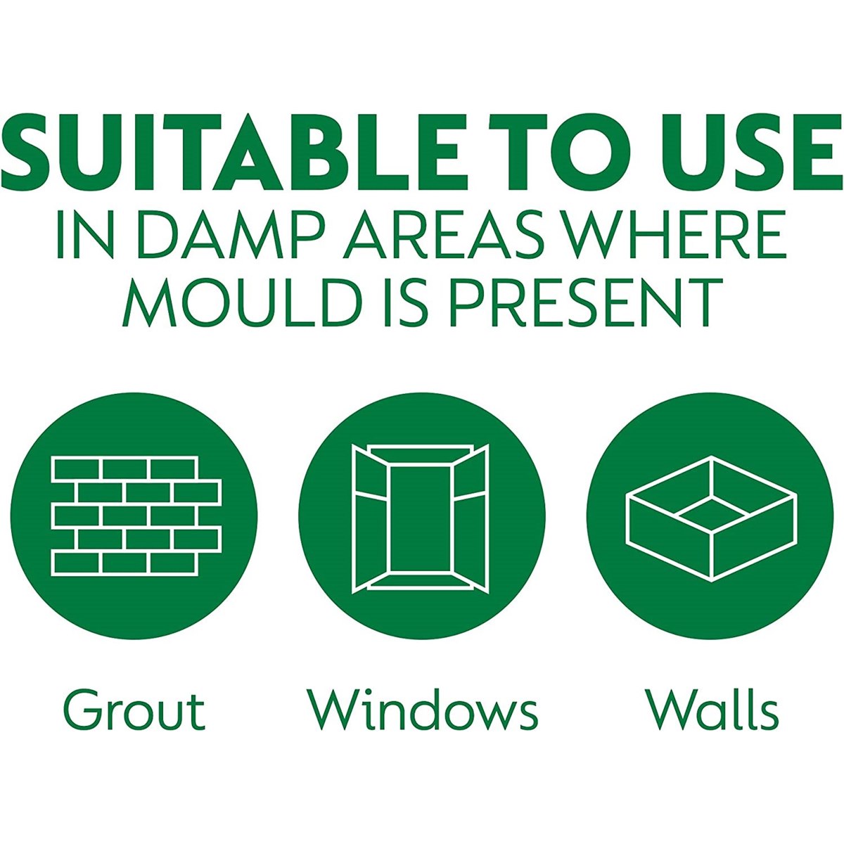 How to Remove Mould from Walls and Windows