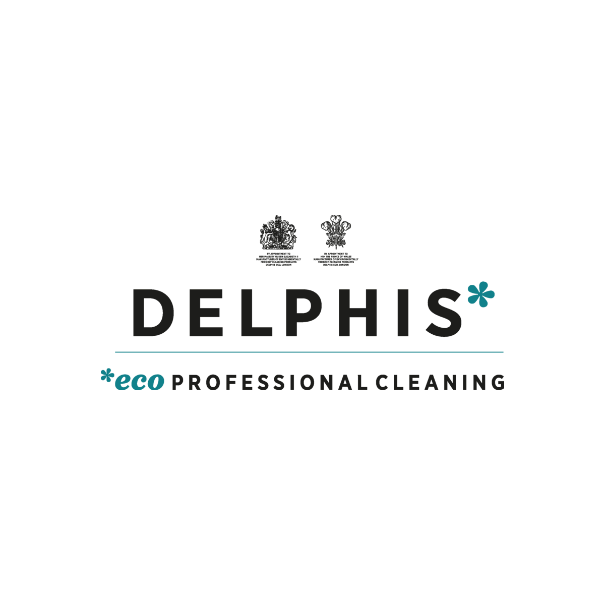 Delphis Eco Professional Cleaning Glass and Stainless Steel Cleaner Spray 