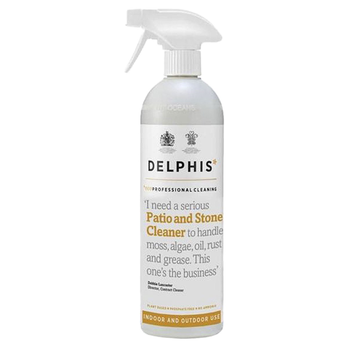 Delphis Eco Professional Cleaning Patio and Stone Cleaner Spray