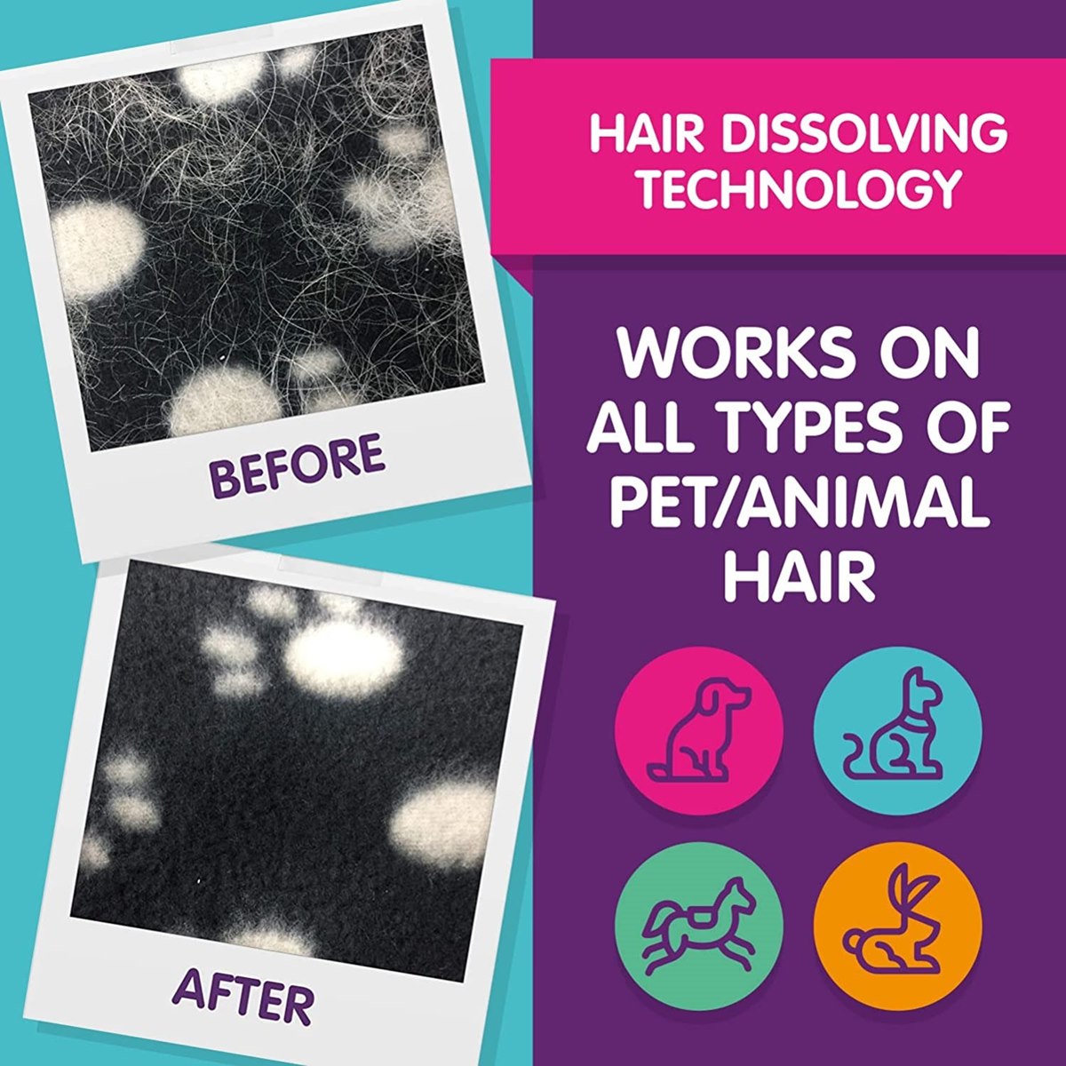 How to Remover Pet Hair from Dog Beds