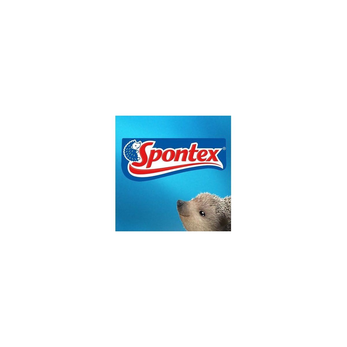 Where to Buy Spontex Products