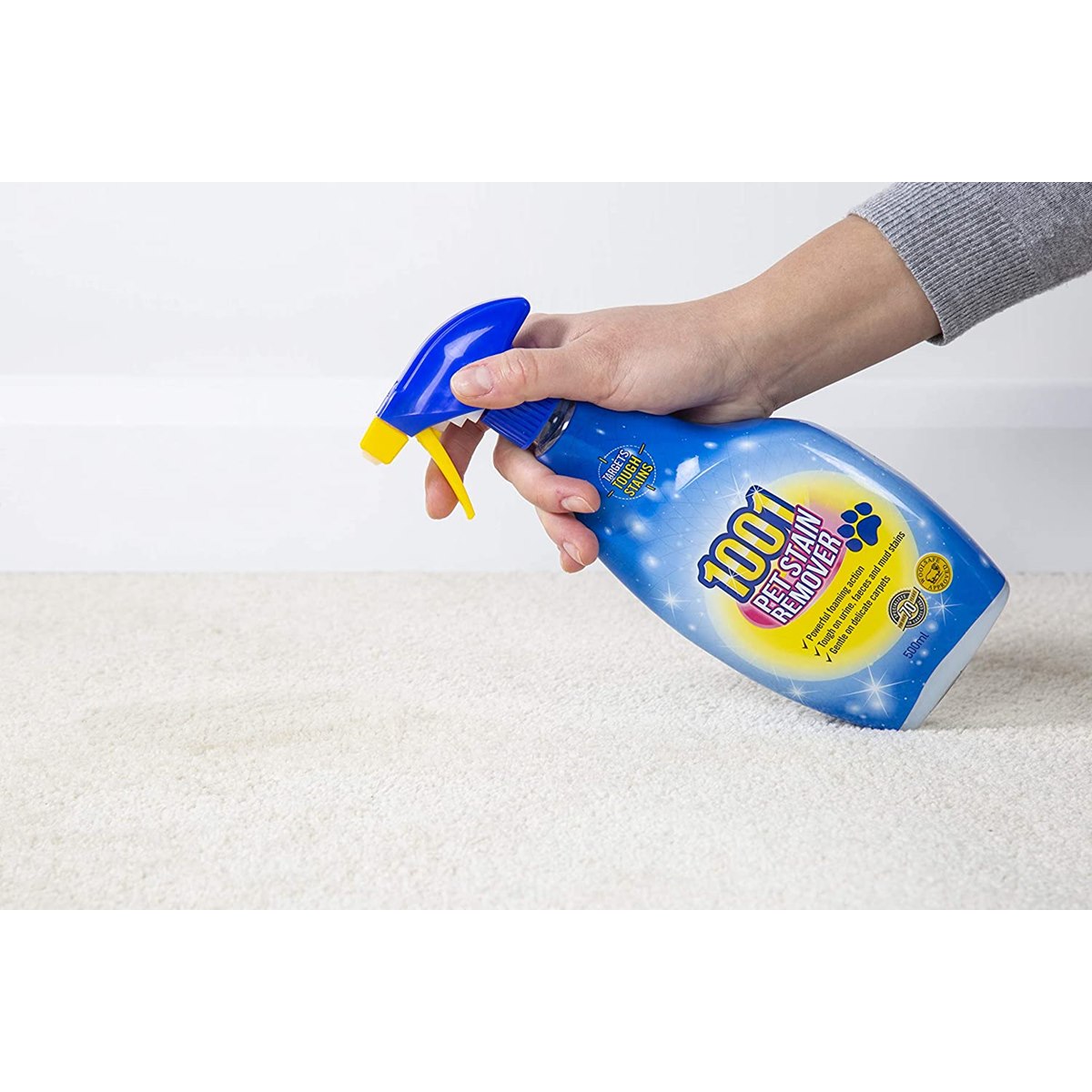 How to Remover Pet Urine Stains from Carpet